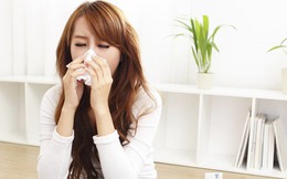 Các sản phẩm tốt nhất giúp bạn giảm đau do nhiễm trùng xoang