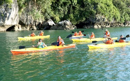 Vì sao Quảng Ninh dừng dịch vụ chèo kayak trên vịnh Hạ Long?