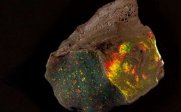 Qua hàng thập kỷ chờ đợi, viên đá Opal đẹp nhất hành tinh được trưng bày, giá 700.000 đô