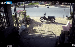 Hai người ngã văng ra đường chỉ vì một chú chó thả rông bừa bãi