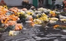 Clip: Mưa ngập đường ở Sài Gòn, hoa Tết chưa bán đã bị trôi tứ tung