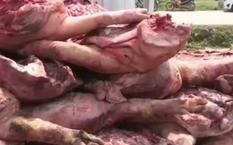 Công nghệ biến lợn chết bốc mùi thành thịt hun khói