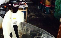 Xôn xao: Dream II Thái 'đắp chiếu' 15 năm rao giá 600 triệu
