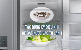 Để 1 bát nước trong tủ lạnh, không chỉ tiết kiệm điện, mà còn có những tác dụng bất ngờ