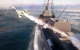 Israel giới thiệu phiên bản hải quân của UAV tự sát