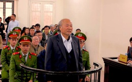 Bố con Giang Kim Đạt cùng kháng cáo