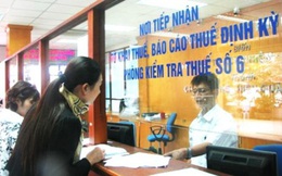 Nhiều đại gia xây dựng bị Hà Nội bêu tên vì nợ thuế