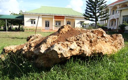 Bàn giao tảng đá bán quý 20 tấn về khu dự trữ sinh quyển Langbiang