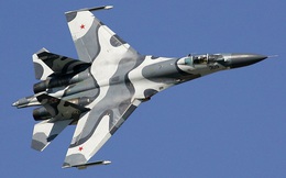 Xôn xao thương vụ Trung Quốc đổi 180.000 con chó lấy chiến cơ Su-27 Nga