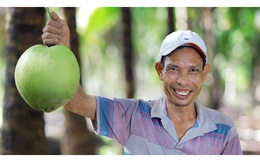 Đem nước dừa đi đóng hộp, một công ty đã nâng giá trị nước dừa tươi lên 300 lần, xuất khẩu hơn 40 nước, giải bài toán đầu ra cho hàng nghìn nông dân Bến Tre