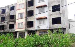 Giá đất tăng vọt trước thông tin Hoài Đức lên quận