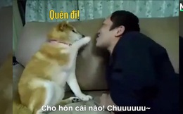 Chú chó dễ thương nhưng không dễ dãi, dụ dỗ kiểu gì vẫn "chảnh" không cho thơm
