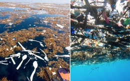Cảnh tỉnh thực sự: Những bức hình cho thấy rác nhựa đang nuốt chửng đại dương