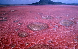 Bí ẩn hồ nước màu đỏ tươi như máu, la liệt xác chết hóa đá