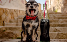 10 công dụng khó tin của Coca-Cola, số 2 nghe thì hay nhưng không nên thử