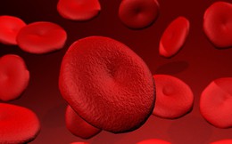 Đi tiểu ra máu là dấu hiệu của nhiều bệnh trọng: Chớ coi thường!
