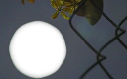 Lác mắt trước chùm ảnh "siêu Mặt trăng" trên bầu trời Việt Nam và thế giới
