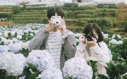 Đi Đà Lạt thôi, mùa đông ở đây bình yên lắm!