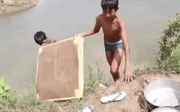 Đem nắp thùng xốp ra bờ sông, hai cậu bé thu "mẻ lớn" mà chẳng hề tốn công