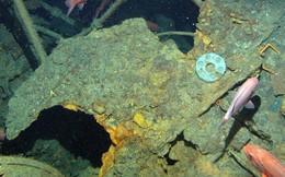 Tìm thấy tàu ngầm mất tích bí ẩn sau 103 năm