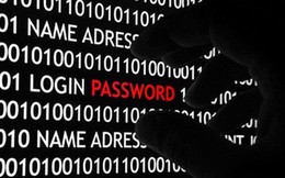Người dùng Việt Nam cần khẩn cấp đổi mật khẩu email, Facebook