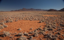 Giải mã bí ẩn những vòng tròn kỳ lạ trên sa mạc ở châu Phi