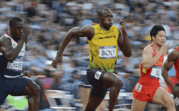 Đây là những gì Usain Bolt có thể làm được nếu tham gia cuộc thi tốc độ đặc biệt này