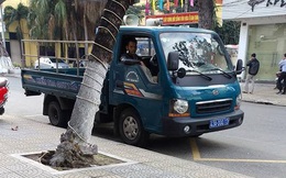CSGT Đà Nẵng phạt nguội xe của UBND phường 700 ngàn đồng