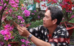 Ngắm vườn hoa giấy '6 trong 1' độc đáo ở miền Tây