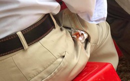 Người đàn ông đi ăn cỗ rồi bọc con tôm để trong túi quần, hình ảnh tạo nhiều suy đoán