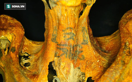 Bật mí thêm về xác ướp của phụ nữ Ai Cập với hình xăm 3.000 năm tuổi chưa phai