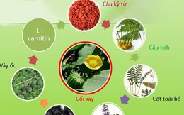 Giải pháp hỗ trợ điều trị lâu dài cho người bị điếc đột ngột, nghe kém, suy giảm thính lực