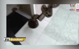 Video: Người đàn ông bị trăn khổng lồ trong bồn cầu cắn thẳng vào "chỗ hiểm"
