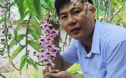 Hà Tĩnh: Thầy giáo dạy sinh học trường làng sở hữu vườn lan tiền tỷ
