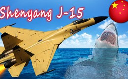 J-15 có thể là tiêm kích hạm hàng đầu TG, nhưng lại bị chỉ trích be bét, tội lỗi là ở Liêu Ninh