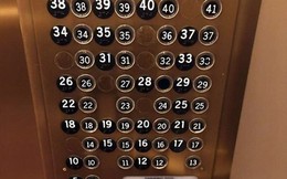 20 bức ảnh "chuyện vậy cũng có thể xảy ra" cho thấy thế giới bạn đang sống đảo điên như thế nào