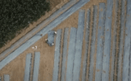 Clip: 3 bác nông dân bỏ ruộng chạy lấy người khi thấy chiếc flycam lơ lửng trên đầu