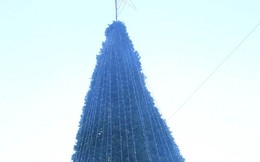 Ảnh: Cây thông Noel khổng lồ cao 12m mừng lễ Giáng sinh ở Hà Nội