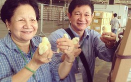 Vinacapital đầu tư 32,5 triệu USD vào trứng gà Ba Huân, định giá công ty gấp đôi Dabaco
