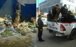 Sự thật đằng sau bức ảnh chú chó nghèo bán rau bị cảnh sát bắt "gây bão" mạng xã hội