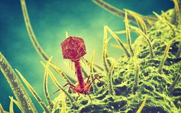 Virus bí ẩn trong hồ nước cứu mạng cụ ông 80 tuổi