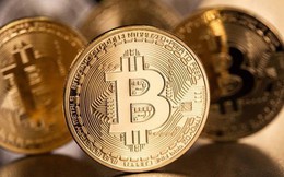 Hôm nay giá Bitcoin tiếp tục lao dốc