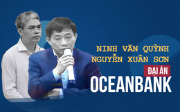 Luật sư: Nguyễn Xuân Sơn khai ra đưa tiền cho Ninh Văn Quỳnh để mong khoan hồng