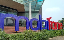 Kết luận thanh tra vụ MobiFone mua AVG: Ông Lê Nam Trà kiến nghị 4 nội dung