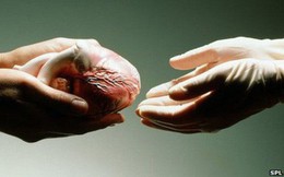 Hiến tạng - việc làm nhân văn đem lại cơ hội sống cho nhiều người: Quy trình đăng kí hiến tạng rất đơn giản