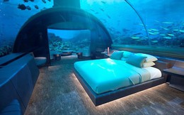 Bạn có muốn ngủ cùng cá trong biệt thự sang chảnh dưới biển Maldives