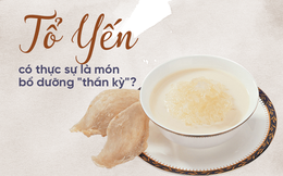 Dân gian truyền miệng câu nói "1g yến sào bằng 40 quả trứng gà": Sự thật ra sao?