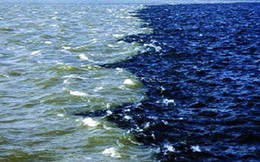 Người ta vừa phát hiện một vùng nước chết rộng hàng ngàn kilomet ở biển Ả Rập