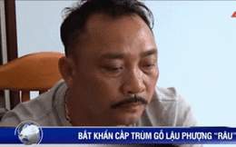 Hành trình từ người làm thuê đến ông trùm gỗ lậu Phượng "râu"