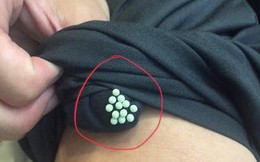 Cẩn trọng với "quái vật" đẻ trứng, hoành hành trong mùa hè gây bệnh viêm da, mù mắt, dễ nhầm lẫn với bệnh zona
